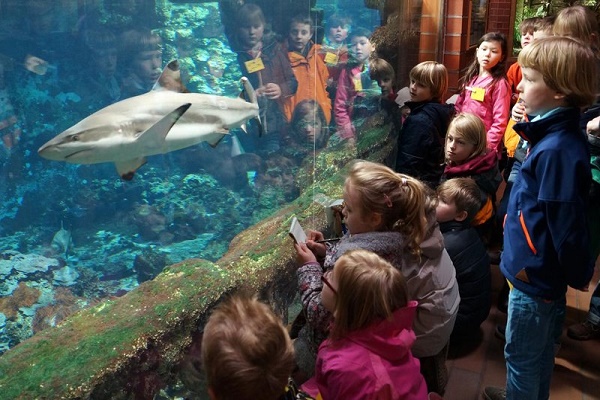 Zoo and Wildlife parks